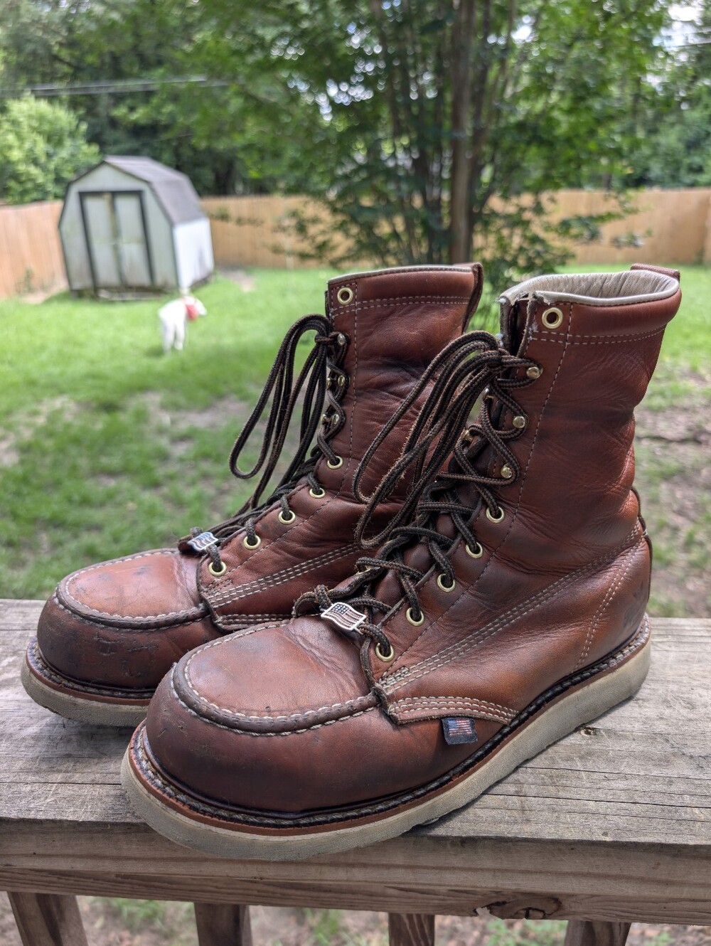 Thorogood 8" TOBACCO SAFETY TOE Boot MOC TOE MAXWEAR WEDGE size 10 wide